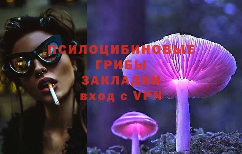 Псилоцибиновые грибы Magic Shrooms  дарнет шоп  Моздок 